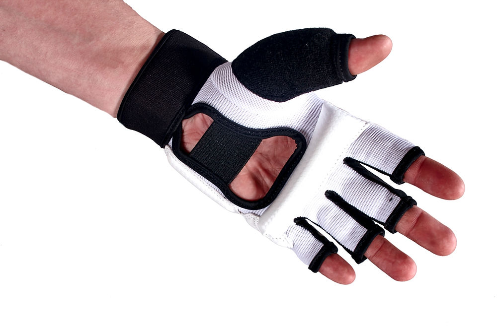 FULL SET SPARRING GEAR - Image 11