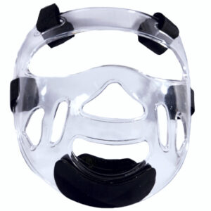 WT APPROVED CLEAR VISOR/MASK