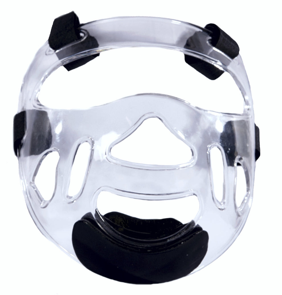 WT APPROVED CLEAR VISOR/MASK
